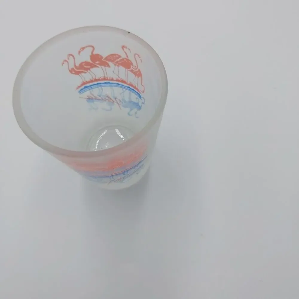 State Of Florida Souvenir Shot Glass Frosted‎